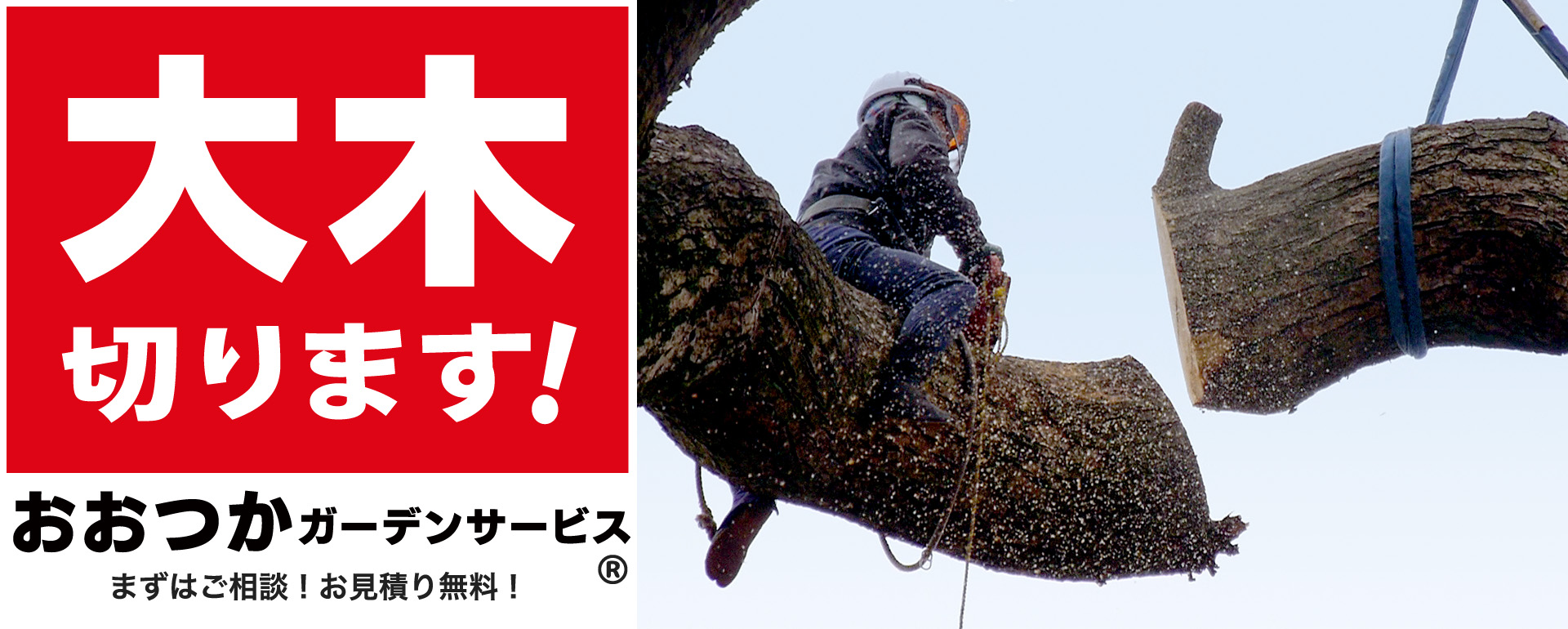 大木切ります!おおつかガーデンサービス まずはご相談!お見積り無料!